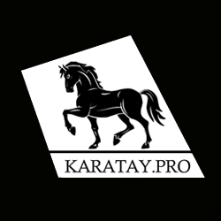 KARATAY.PRO